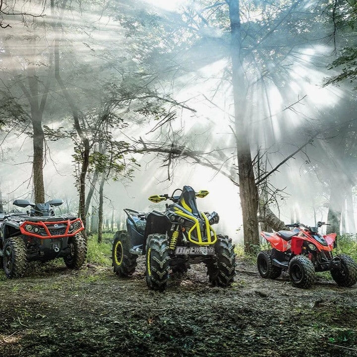 К В А Д Р 0 Ц И К Л Ы